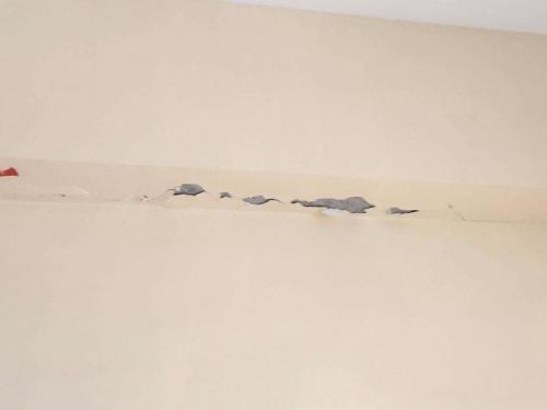 Inspection on Public School (4)