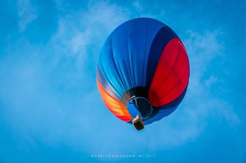 Photos courtesy of Framed Shots Camera Club (13)