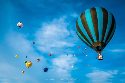 Photos courtesy of Framed Shots Camera Club (21)