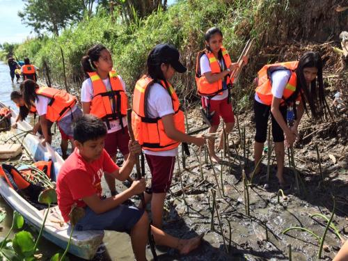 Planted 1,000 mangrove propagules along riverbank of Lubao Bamboo Hub on March 3,201 (2)